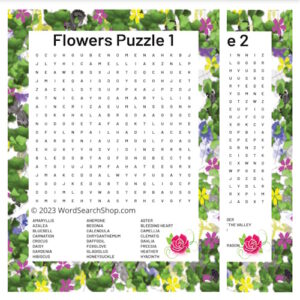 Two flower word search puzzles stacked.