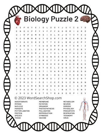 A biology word search puzzle 2.