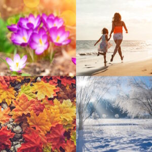 A collage of seasonal pictures.