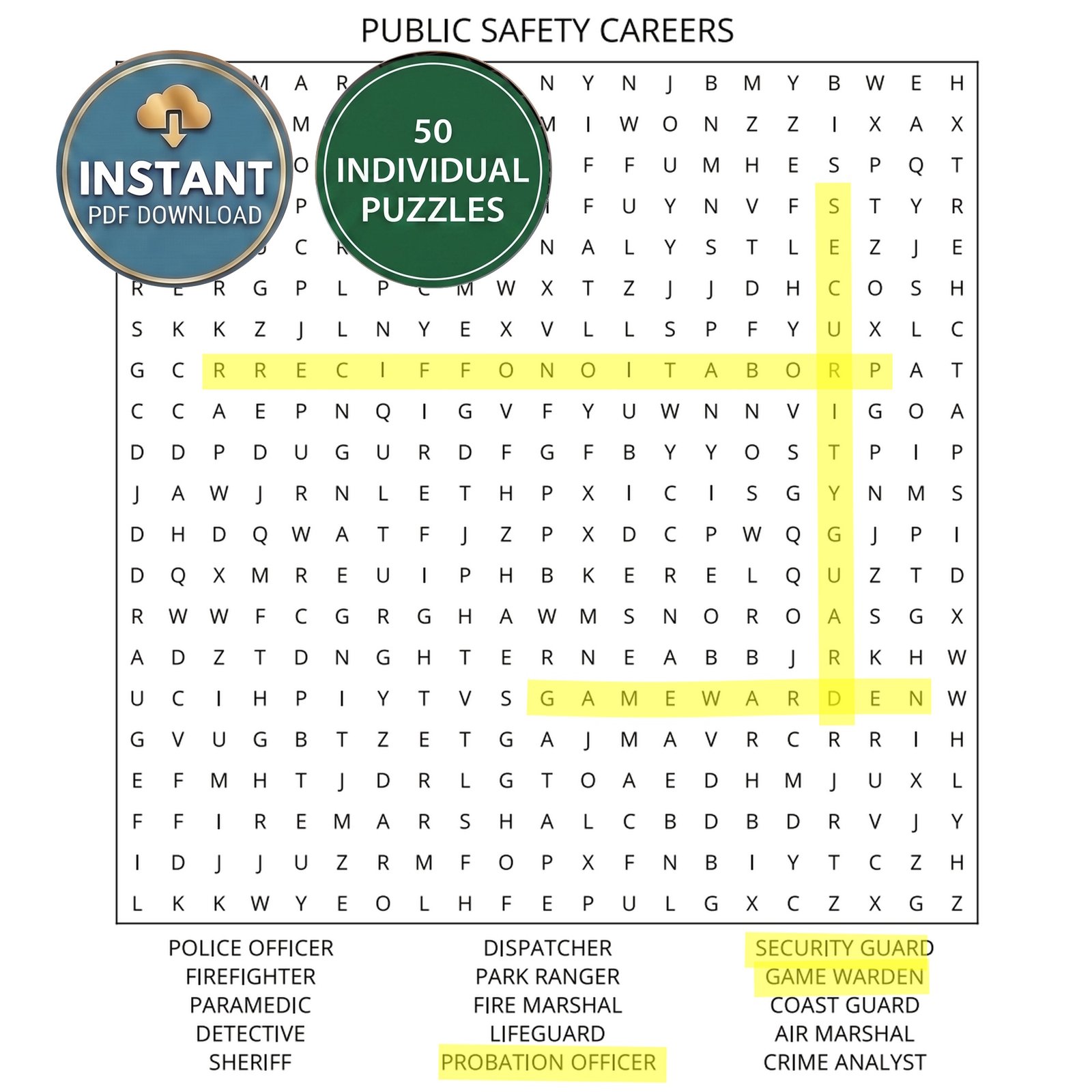 A public safety careers word search book puzzle titled Public Safety Careers.